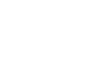 AOH 20th Anniversary-white